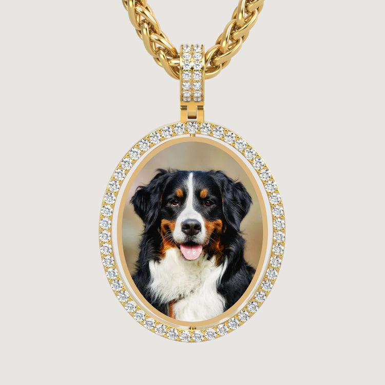 The 14K Gold Open Oval Diamond Picture Pendant features a diamond-encrusted oval design, displaying a Bernese Mountain Dog portrait in black, white, and brown, elegantly hanging from a thick gold chain.