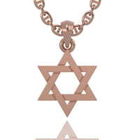 The Solid 14k Gold Star of David Necklace Pendant features a sleek, polished design and is shown against a white background, hanging from a chunky rose gold chain.