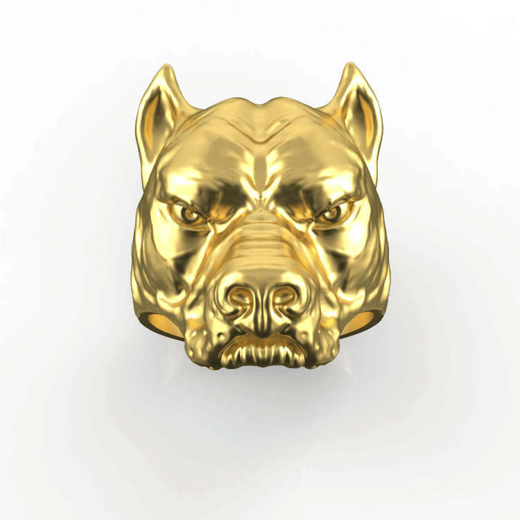 The 14k Gold Pitbull Head Ring features a shiny dog’s head with pointed ears, a wrinkled brow, and an intense expression, all set against a plain white background.