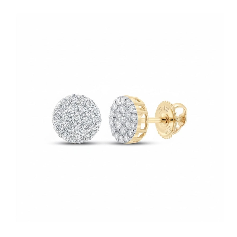 10k Gold Diamond Cluster Earrings 3/4 Cttw
