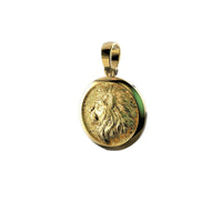 The 14K Yellow Gold Lion's Head Pendant showcases a detailed embossed lion's head in profile within a polished circular frame, complete with a loop for chain attachment, displayed on a plain white background.